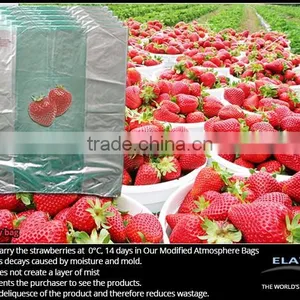 Mango Bag thumbnail-4