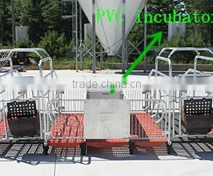 Equipment For Poultry Farms Farrowing Crates For Pigs For Sale thumbnail-1