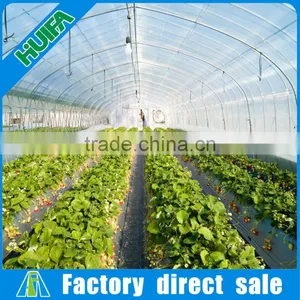 Excellent After-sale Service Tunnel Greenhouse Equipment Tent thumbnail-1
