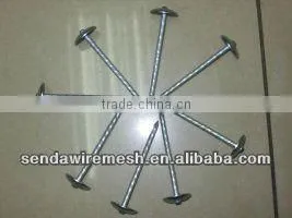 Roofing Nails thumbnail-1