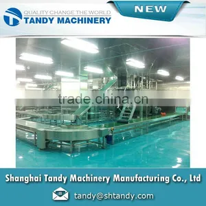 Automation Fruit Belt Conveyor for Sale thumbnail-3