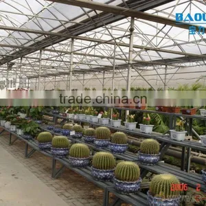 Multi-span Mushroom Tunnel Greenhouse thumbnail-6