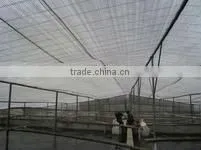 Agicultural Plastic Film thumbnail-1
