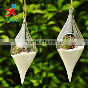 Haning Rugby Shape Glass Plant Terrarium thumbnail-1