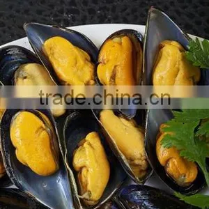 Seafood Frozen Blue Mussel Meat With Half Shell thumbnail-1