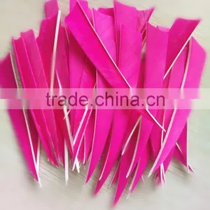 Archery Natural Turkey Arrow Feather Pink 4" Pheasant Wings Wholesale thumbnail-2