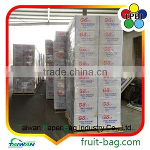 Mango Fruit Grow Bag Mango Fruit Grape Covering Paper Bag thumbnail-3
