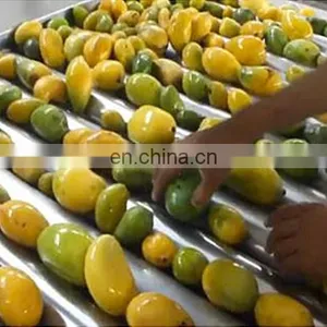 Mango Pulp Full Line Machine AutoOrange Mango Juice Liquid Washing and Filling Machine Line thumbnail-3