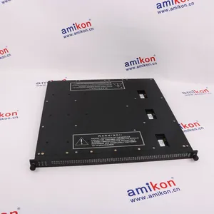 Triconex 3603E | Digital Output Module thumbnail-1