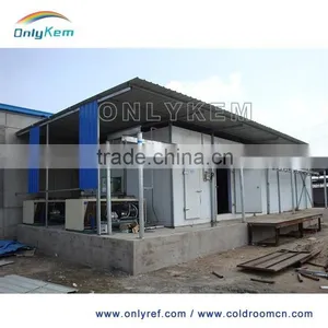 Walk in Cold Chamber and Cold Rooms for Horticulture thumbnail-1