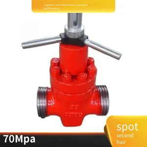 Langfeng Customized 4-inch 1502fm Mud Valve, Petroleum Drilling and Production Machinery Parts, Forged as a Whole thumbnail-4