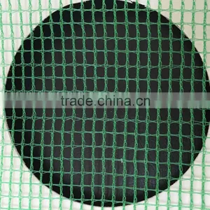 Green Agriculture Birds for Sale / Bird Netting thumbnail-1