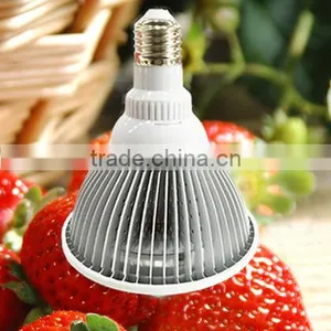 Hot Selling High Quality Standard Manufacturer in China Factory Price 12W LED Plant Grow Light for Strawberry thumbnail-4