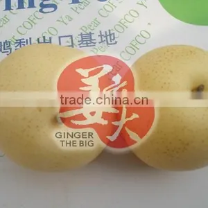 Fresh Pear thumbnail-2
