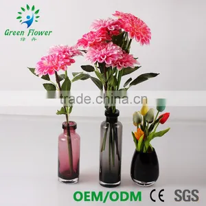 Greenflower 2016 Barberton Daisy Real Touch Chinese Herbaceous Peony Wedding Decrations Flowers thumbnail-2