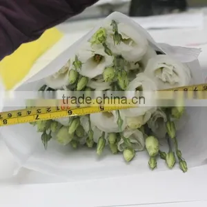 Good Smell Hotsell Provide High Quality Fresh Eustoma thumbnail-3