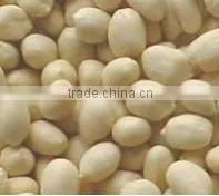 High Efficiency 200kg/h Peanut Red Skin Peeled Machine,Best Selling Monkey Nuts Removing Machine Price thumbnail-5