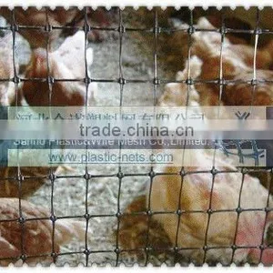 Plastic Poultry Netting thumbnail-1