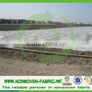 Low Price Spunbonded Nonwoven Fabric for Agricultural Cover thumbnail-4