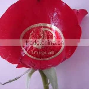 Affordable Digital Flower Printer thumbnail-5