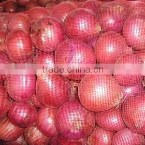 Fresh Onion With Good Price Red Yellow thumbnail-1
