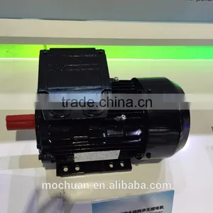 220v Electric ac 0.75kw Motor Water Small Motor Pump, Magnet Motor thumbnail-2