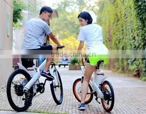 Seagull,highly Appreciated 26 Inch New Experience 500watt Ebike thumbnail-5
