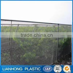 Factory Price White Color Apple Tree Anti Hail Net, 45g 50g 55g 60g 70g/m2 Anti Hail Net With UV Protection in Rolls thumbnail-2