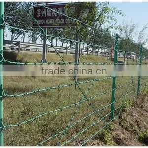 Hot Dipped Galvanized and Powder Coating Barbed Wire Hot Sale thumbnail-4