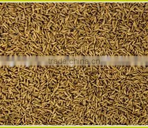 Pure Cumin Oil | 100% Natural Cumin Oil From India(BORG EXPORT) thumbnail-3