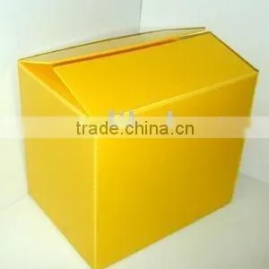 Corrugated Plastic thumbnail-1