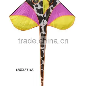 Kites thumbnail-1