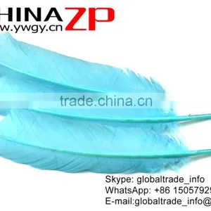 CHINAZP Feather Exporting Good Quality Dyed Light Blue Wild Solid Color Turkey Pointers Wing Quill Feathers thumbnail-3