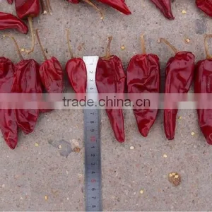 Red Dried Chilli thumbnail-2
