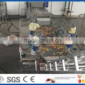 Fruit Sorting Machine thumbnail-2