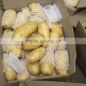 Fresh Sweet Potato 10kg Ctn thumbnail-3