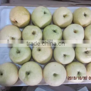 Chinese Hwangkumbae,bagging Pear thumbnail-1