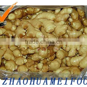 Fresh Ginger in China thumbnail-1