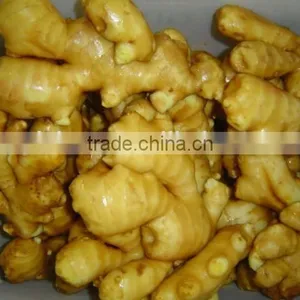 All Year Around Supply Fresh Ginger thumbnail-4