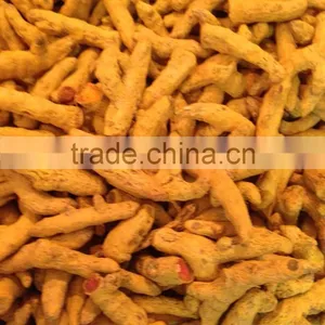 Erode Turmeric thumbnail-1