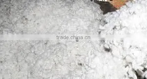 COTTON J34 thumbnail-3