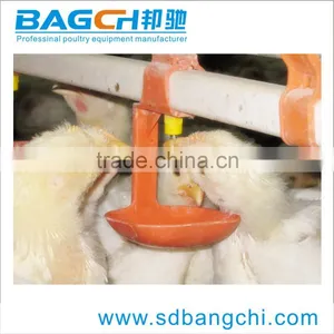 Automatic Poultry Equipment for Broiler Chicken thumbnail-5