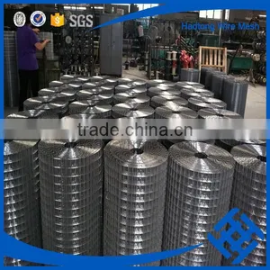 Factory Price 1/4 Inch Galvanized Welded Wire Mesh thumbnail-1