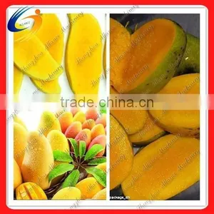 Good Quality Mango Cutter /mango Slicer thumbnail-1