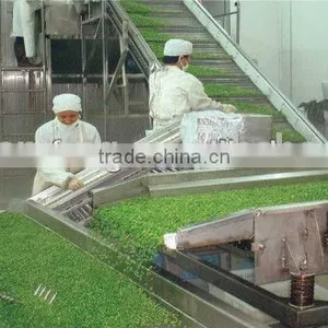 High Quality Iqf Frozen Vegetable Production Line thumbnail-3