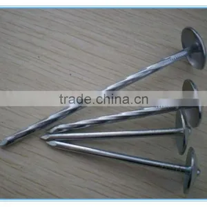 Low Price Stainless Galvanized Concrete Nails thumbnail-1