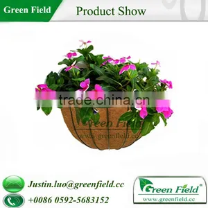 Outdoor Green Wall Planters thumbnail-1