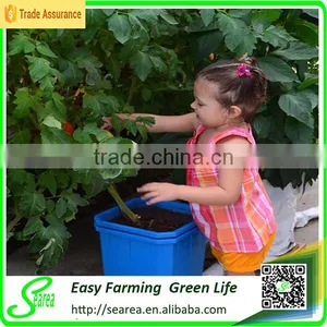 New Technology Hydroponics Equipment thumbnail-2