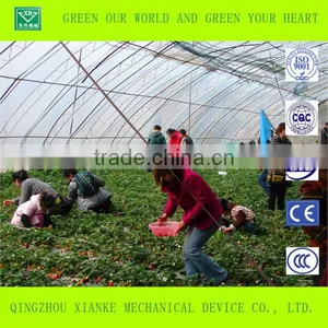 High Tunnel Greenhouse thumbnail-3