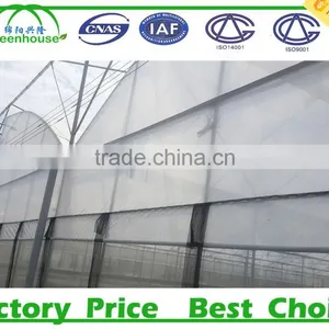 Low Cost Multi Span Used Commercial Greenhouses For Sale thumbnail-6